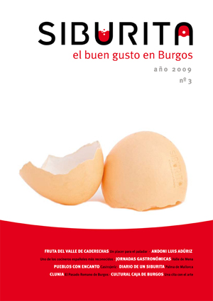 Revista 3